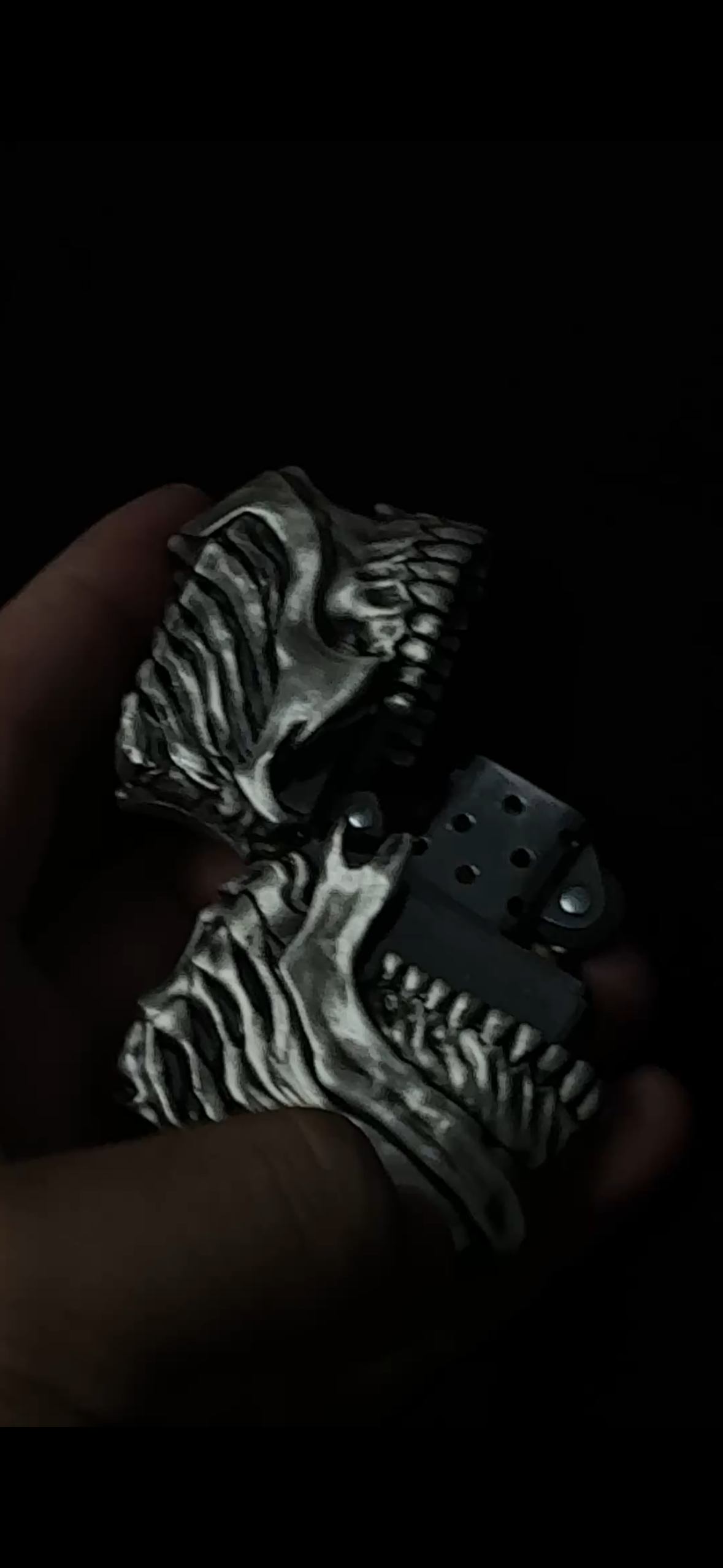 Hot Breath Lighter Case