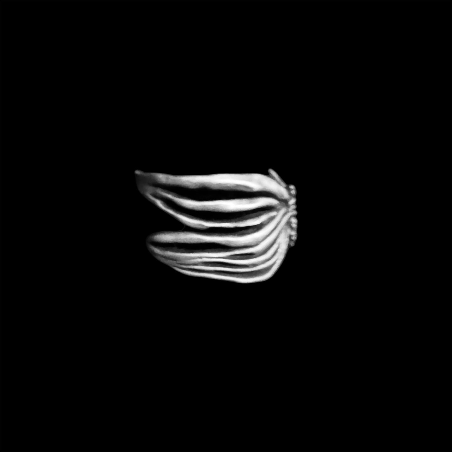 Butterfly Ribcage Ring